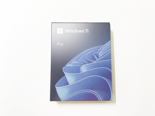 Win 11 Pro 64 bit Sistema operativo Win11 Home OS Professional USB Garanzia a vita chiave professionale