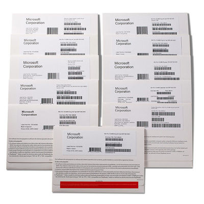 Vensters 10 van de flitsaandrijving Prooem Multitaalmicrosoft Verklaarde Partner met DVD-Winst 10 Pro