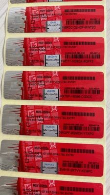 Windows 10/11 IOT ENT 2024 LTSC Программное обеспечение Для Windows 10 11 ENT 2019 2021 2024 LTSC Многоязычное глобальное онлайн-активация