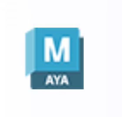 Serie Autodesk Tutti i prodotti AutoCAD MAYA/3DS MAX/CIVIL 3D/FUSION/ROBOT/REVIT Abbonamento di un anno