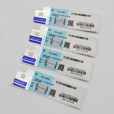 Code principal 32 de secteur de produit global de Windows 10 garantie de temps de la vie de bit/64 bits