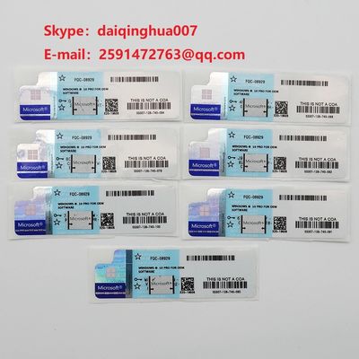 Code principal 32 de secteur de produit global de Windows 10 garantie de temps de la vie de bit/64 bits