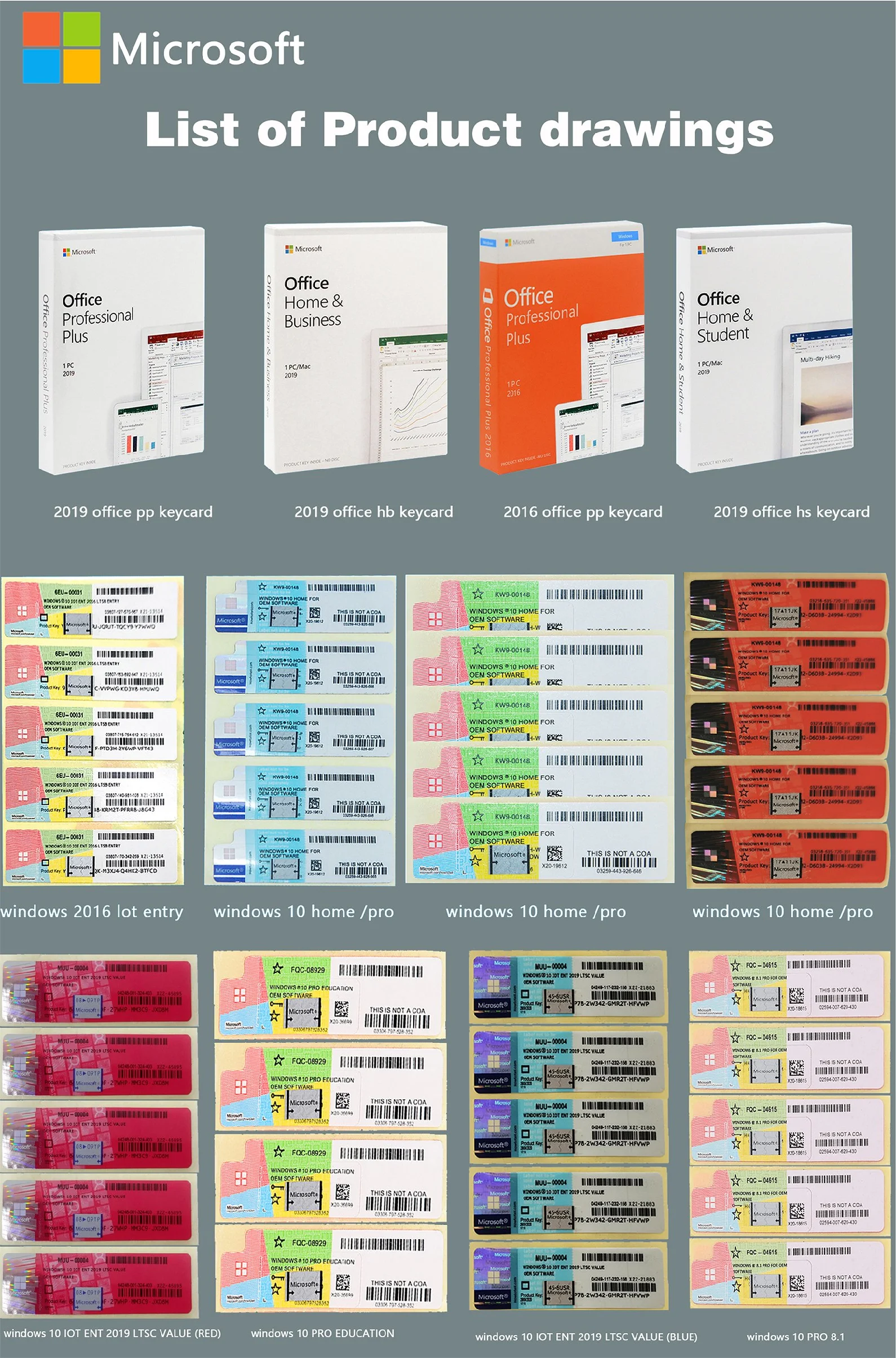 Professional Plus Microsoft Office 2021 HB Bindende Keycard 0